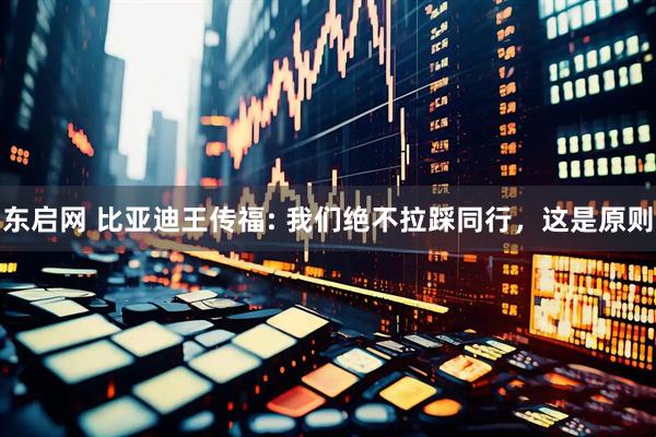 东启网 比亚迪王传福: 我们绝不拉踩同行，这是原则