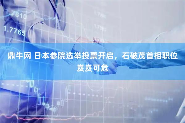 鼎牛网 日本参院选举投票开启，石破茂首相职位岌岌可危