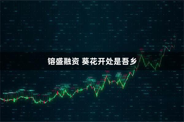 镕盛融资 葵花开处是吾乡