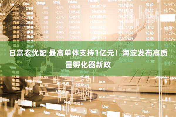日富农优配 最高单体支持1亿元！海淀发布高质量孵化器新政