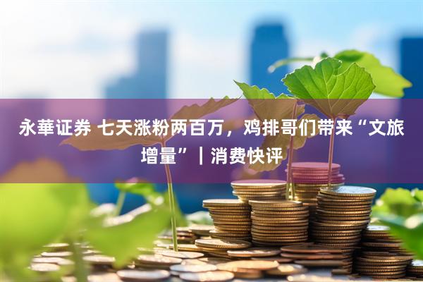 永華证券 七天涨粉两百万，鸡排哥们带来“文旅增量”｜消费快评