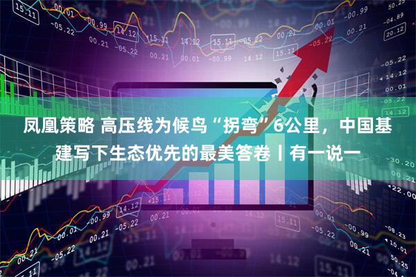 凤凰策略 高压线为候鸟“拐弯”6公里，中国基建写下生态优先的最美答卷丨有一说一