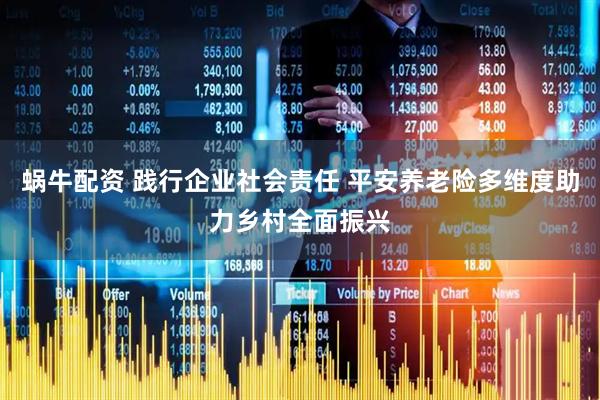 蜗牛配资 践行企业社会责任 平安养老险多维度助力乡村全面振兴