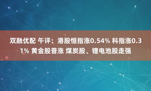 双融优配 午评：港股恒指涨0.54% 科指涨0.31% 黄金股普涨 煤炭股、锂电池股走强