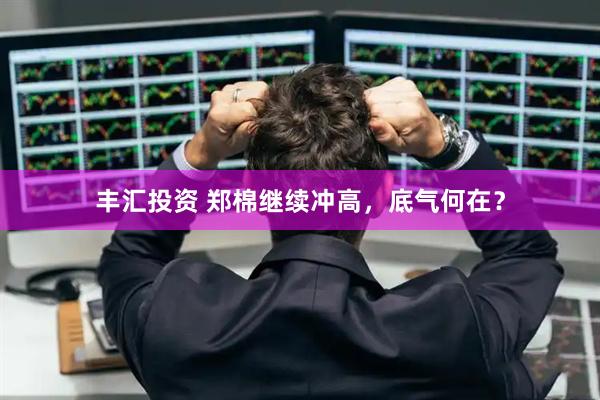 丰汇投资 郑棉继续冲高，底气何在？