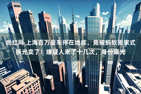 尚红网 上海百万豪车停在地库，竟被蚂蚁搬家式拆光卖了！嫌疑人来了十几次，身份曝光